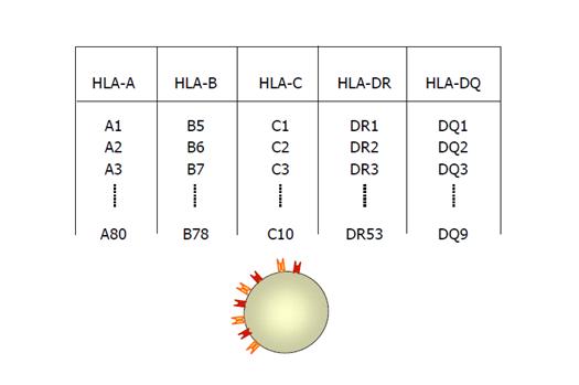 TIPAJ HLA-A (PCR) - Synevo