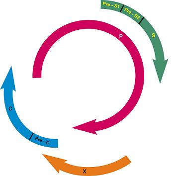 Virusul hepatitei B-rezistenta la medicamente antivirale - Synevo