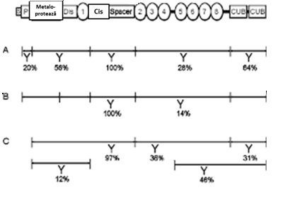 fig2