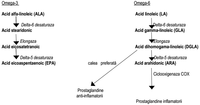 fig8.8.1